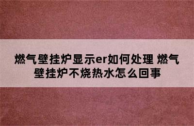 燃气壁挂炉显示er如何处理 燃气壁挂炉不烧热水怎么回事